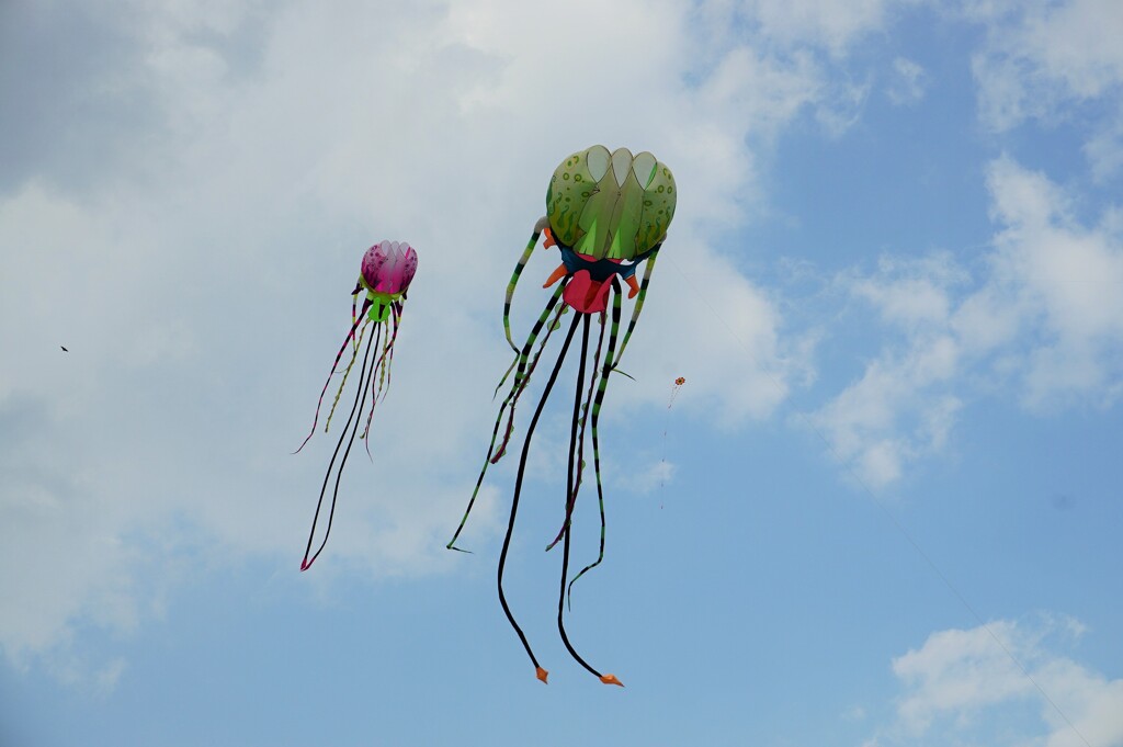 天まであがれ～中国 Popular Kite Flying
