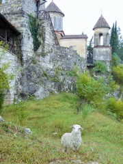 神の子羊と修道院～ジョージア  Agnus Dei & Monastery