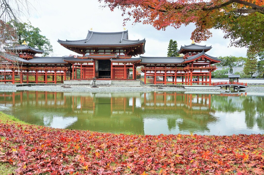 鳳凰散紅葉～京都  Byōdō-in Temple