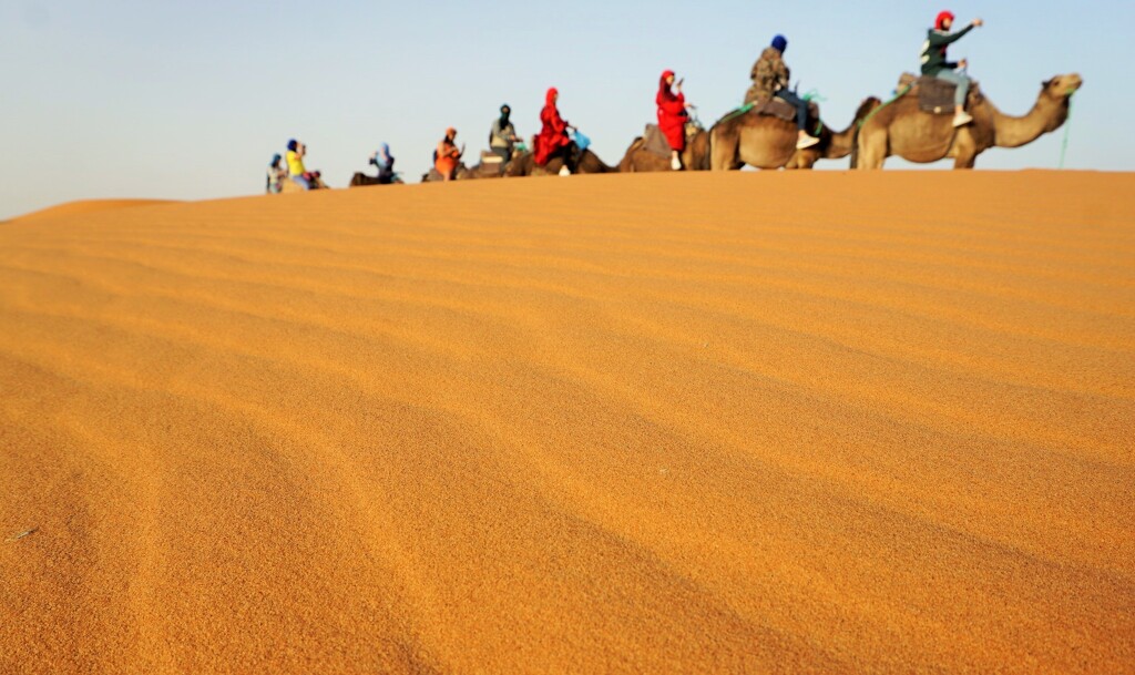 風紋と駱駝～サハラ砂漠 Erg Chebbi