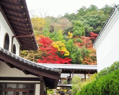 南禅寺☆紅はかうなつかしき紅葉かな