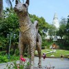 頼もしい狛犬～カンボジア  Guardian Dog
