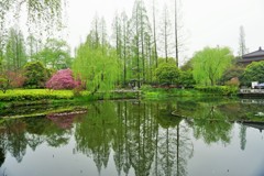 曲院風荷~中国 Curved Yard & Lotus Pool in smmr