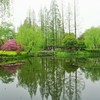 曲院風荷~中国 Curved Yard & Lotus Pool in smmr