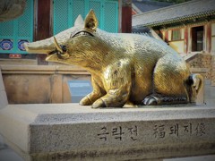謹賀新年～韓国 Good luck wild boar