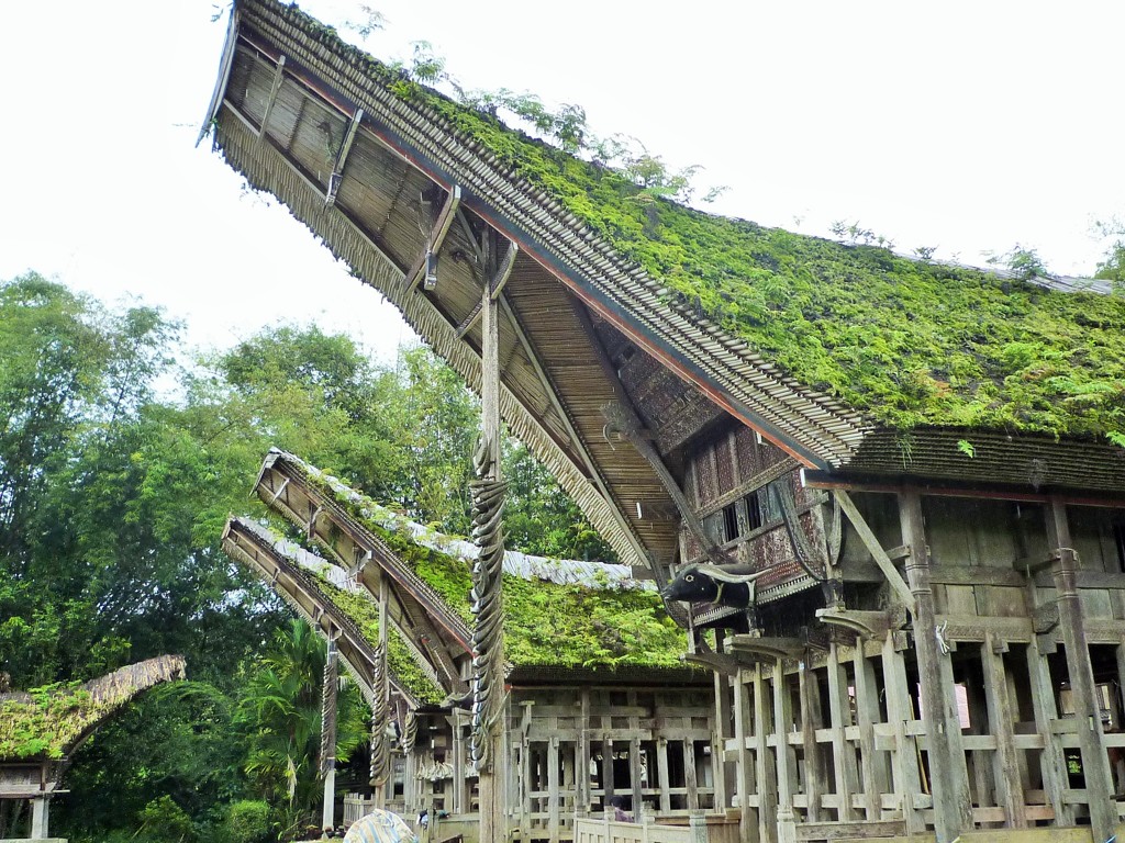 高床式舟形家屋～インドネシア Tongkonan