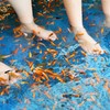 癖になりそう温泉魚～台湾 Doctor fish