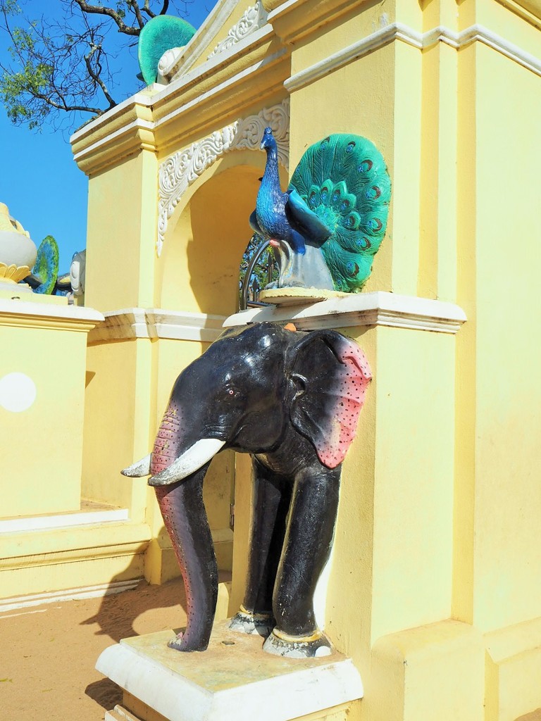 孔雀と象～スリランカ Peacock &  Elephant