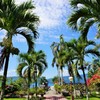 君知らずや、椰子の葉そよぐ庭～インドネシア Tropical garden