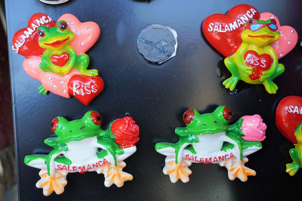 ❤蛙～サラマンカ ❤frogs,Salamanca