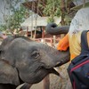 象と記念写真～タイ Elephant & Lady