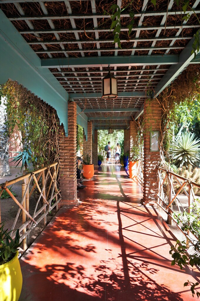 マラケシュの光と影～ モロッコJardin Majorelle