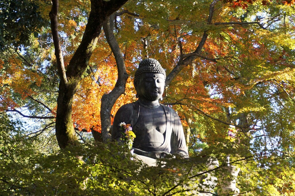 紅葉光背～仏教彫刻 Eisho-in Amitābha Statue