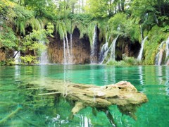 プリトヴィッツェ湖群国立公園～クロアチア Plitvice Lake