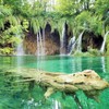 プリトヴィッツェ湖群国立公園～クロアチア Plitvice Lake