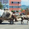 荷馬車の町～コソボ Horsecart,Kosovo