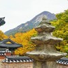 錦秋の東鶴寺～韓国 Donghaksa Autumn Leaves