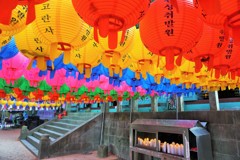 色提灯～韓国 Colourful lanterns