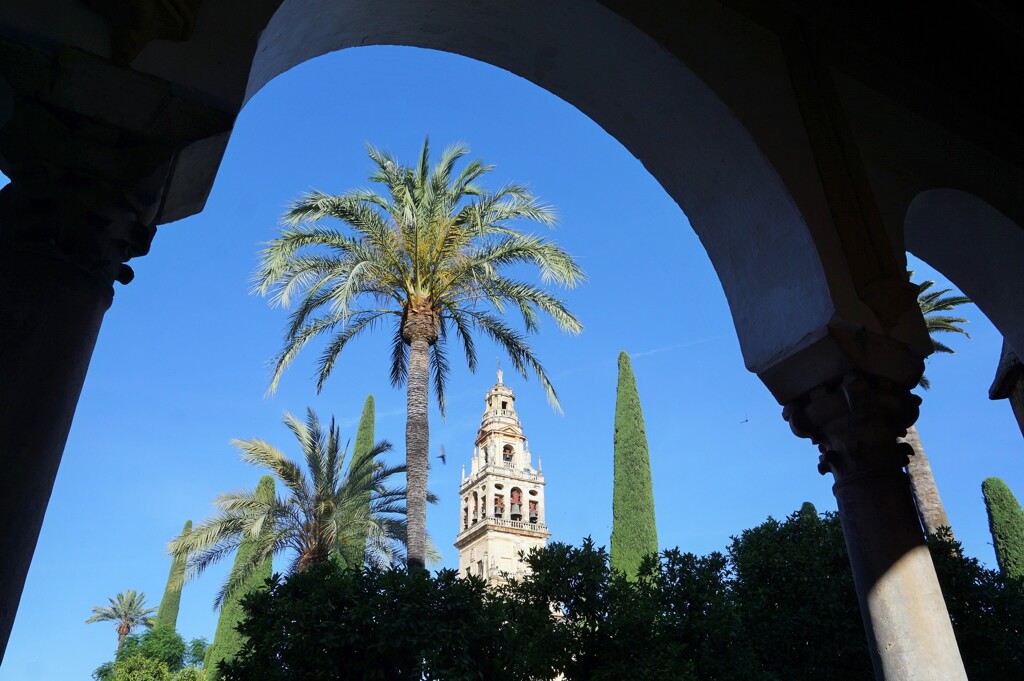 オレンジの中庭と光塔～スペイン Mezquita