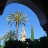 オレンジの中庭と光塔～スペイン Mezquita