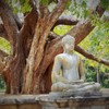 樹下の瞑想～スリランカ仏教彫刻 Meditation under a tree