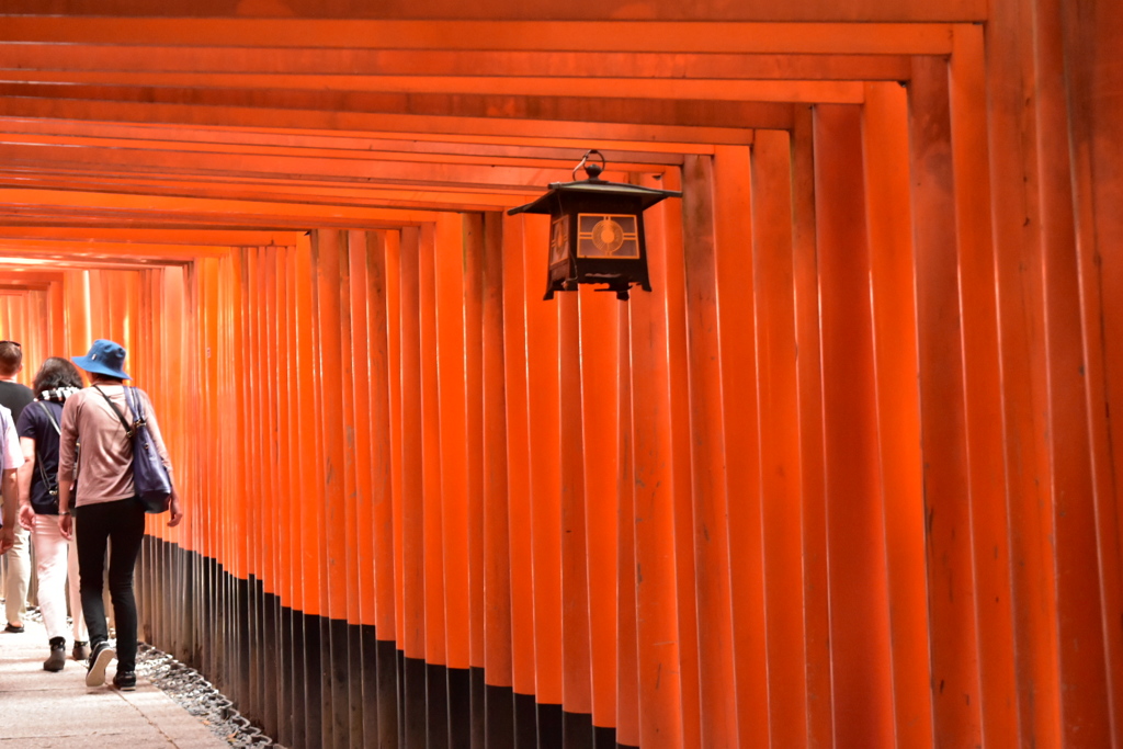 千本鳥居