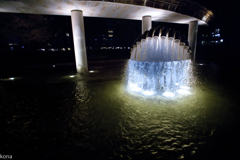 夜の光　　DSC0161-Edit-3