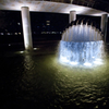 夜の光　　DSC0161-Edit-3