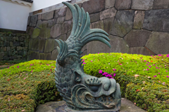 鯱