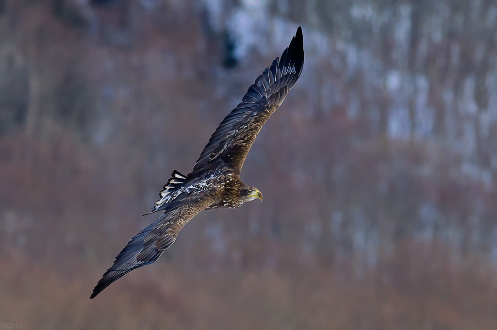 _D3B7887-Edit