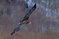 _D3B7887-Edit