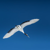 _D3B8197-Edit  tantyou