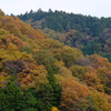 季節替わり