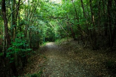 道
