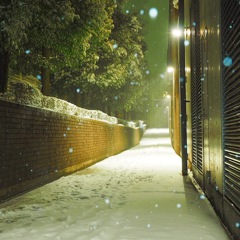 雪の小路