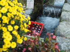 36EFC8D7-1962-40DB-B082-EB48D18DBD02