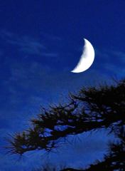 初冬の夜空に