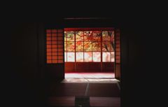 映える