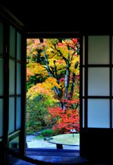 額縁の中の紅葉