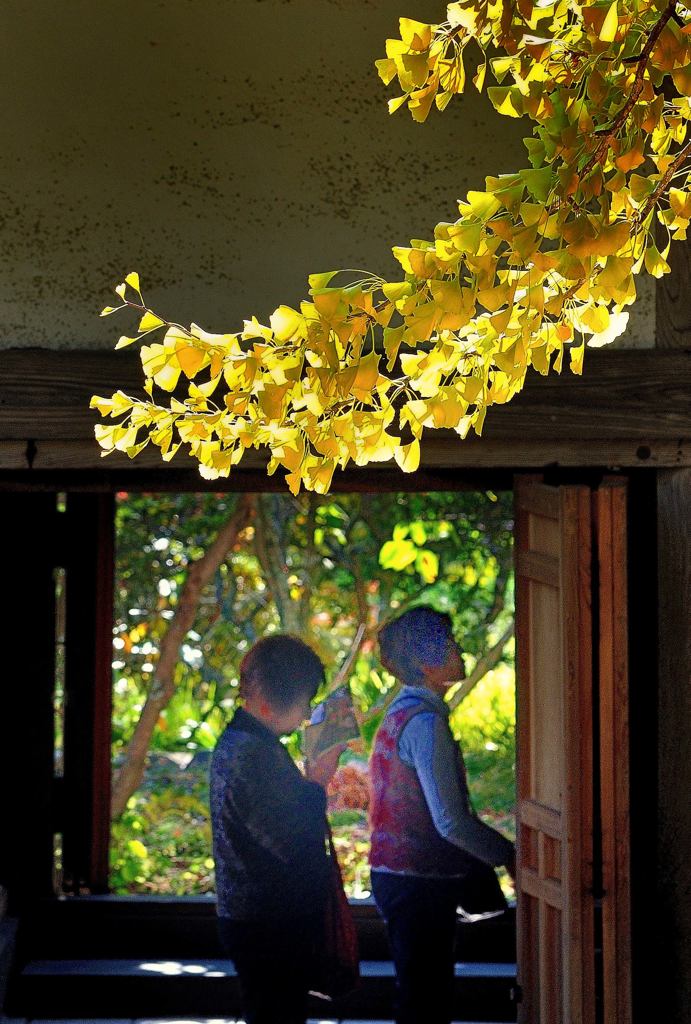 黄葉の寺で祈る