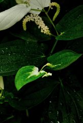 お化粧しあがったの