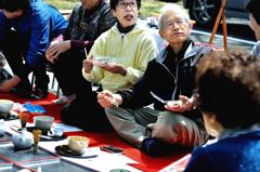 きれいだね～ 今年の桜は