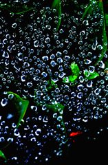 水滴のアート