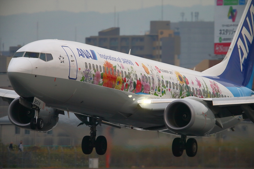FLOWER JET