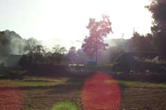 DSCF1839