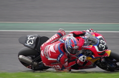 IMGP1664