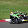 IMGP2324