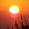 DSCF8064