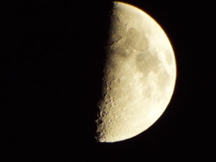 2016_1009_18445600