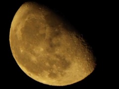 DSCF8008-1